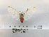  ( - ANHRTUK00077379)  @11 [ ] COPYRIGHT (2021) Unspecified ANHRT