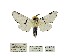  ( - ANHRTUK00081591)  @11 [ ] Copyright (2021) Unspecified ANHRT