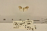  ( - ANHRTUK00082442)  @11 [ ] COPYRIGHT (2021) Unspecified ANHRT