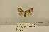 ( - ANHRTUK00082516)  @11 [ ] COPYRIGHT (2021) Unspecified ANHRT