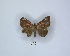  ( - ANHRTUK00085664)  @11 [ ] Copyright (2021) Unspecified ANHRT