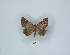  ( - ANHRTUK00087282)  @11 [ ] Copyright (2021) Unspecified ANHRT