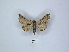  ( - ANHRTUK00088671)  @11 [ ] Copyright (2021) Unspecified ANHRT