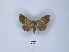  ( - ANHRTUK00089092)  @11 [ ] Copyright (2021) Unspecified ANHRT