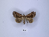  ( - ANHRTUK00089215)  @11 [ ] Copyright (2021) Unspecified ANHRT