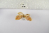  ( - ANHRTUK-00094547)  @11 [ ] Copyright (2021) Unspecified ANHRT