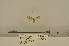  ( - ANHRTUK00094632)  @11 [ ] COPYRIGHT (2021) Unspecified ANHRT