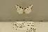  ( - ANHRTUK00094914)  @11 [ ] COPYRIGHT (2021) Unspecified ANHRT