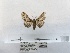 ( - ANHRTUK00095790)  @11 [ ] COPYRIGHT (2021) Unspecified ANHRT