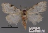  ( - ANHRTUK00098774)  @11 [ ] COPYRIGHT (2021) Unspecified ANHRT