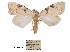  ( - ANHRTUK00098775)  @11 [ ] COPYRIGHT (2021) Unspecified ANHRT