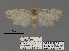  (Mecothrix - ANHRTUK00098776)  @11 [ ] COPYRIGHT (2021) Unspecified ANHRT