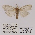  ( - ANHRTUK00098778)  @11 [ ] COPYRIGHT (2021) Unspecified ANHRT