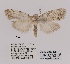  ( - ANHRTUK00098779)  @11 [ ] COPYRIGHT (2021) Unspecified ANHRT