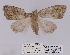  ( - ANHRTUK00098780)  @11 [ ] COPYRIGHT (2021) Unspecified ANHRT