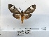  ( - ANHRTUK00099133)  @11 [ ] COPYRIGHT (2021) Unspecified ANHRT