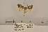  ( - ANHRTUK00101012)  @11 [ ] COPYRIGHT (2021) Unspecified ANHRT