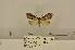  ( - ANHRTUK00101022)  @11 [ ] COPYRIGHT (2021) Unspecified ANHRT