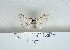  ( - ANHRTUK00104071)  @11 [ ] Copyright (2021) Unspecified ANHRT