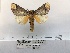  ( - ANHRTUK00105261)  @11 [ ] COPYRIGHT (2021) Unspecified ANHRT