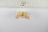  ( - ANHRTUK-00107645)  @11 [ ] Copyright (2021) Unspecified ANHRT