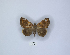  ( - ANHRTUK00108530)  @11 [ ] Copyright (2021) Unspecified ANHRT
