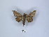  ( - ANHRTUK00108596)  @11 [ ] Copyright (2021) Unspecified ANHRT