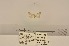  ( - ANHRTUK00110949)  @11 [ ] COPYRIGHT (2021) Unspecified ANHRT