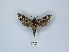  ( - ANHRTUK00111067)  @11 [ ] Copyright (2021) Unspecified ANHRT