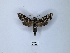  ( - ANHRTUK00111068)  @11 [ ] Copyright (2021) Unspecified ANHRT