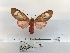  ( - ANHRTUK00111124)  @11 [ ] COPYRIGHT (2021) Unspecified ANHRT