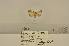  ( - ANHRTUK00111214)  @11 [ ] COPYRIGHT (2021) Unspecified ANHRT