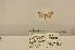  ( - ANHRTUK00111244)  @11 [ ] COPYRIGHT (2021) Unspecified ANHRT