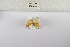  ( - ANHRTUK-00111343)  @11 [ ] Copyright (2021) Unspecified ANHRT