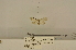  ( - ANHRTUK00132415)  @11 [ ] COPYRIGHT (2021) Unspecified ANHRT