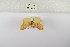 ( - ANHRTUK-00132420)  @11 [ ] Copyright (2021) Unspecified ANHRT