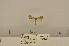 ( - ANHRTUK00132775)  @11 [ ] COPYRIGHT (2021) Unspecified ANHRT