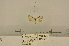  ( - ANHRTUK00134214)  @11 [ ] COPYRIGHT (2021) Unspecified ANHRT