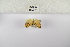 ( - ANHRTUK-00134288)  @11 [ ] Copyright (2021) Unspecified ANHRT