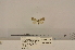  ( - ANHRTUK00136540)  @11 [ ] COPYRIGHT (2021) Unspecified ANHRT