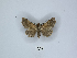  ( - ANHRTUK00137748)  @11 [ ] Copyright (2021) Unspecified ANHRT