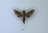  ( - ANHRTUK00142157)  @11 [ ] Copyright (2021) Unspecified ANHRT