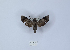  ( - ANHRTUK00142167)  @11 [ ] Copyright (2021) Unspecified ANHRT