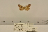  ( - ANHRTUK00147680)  @11 [ ] COPYRIGHT (2021) Unspecified ANHRT