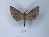  ( - ANHRTUK00149470)  @11 [ ] Copyright (2021) Unspecified ANHRT