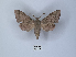  ( - ANHRTUK00149475)  @11 [ ] Copyright (2021) Unspecified ANHRT