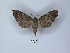  ( - ANHRTUK00149476)  @11 [ ] Copyright (2021) Unspecified ANHRT