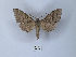  ( - ANHRTUK00149477)  @11 [ ] Copyright (2021) Unspecified ANHRT
