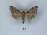  ( - ANHRTUK00149488)  @11 [ ] Copyright (2021) Unspecified ANHRT