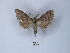  ( - ANHRTUK00149521)  @11 [ ] Copyright (2021) Unspecified ANHRT